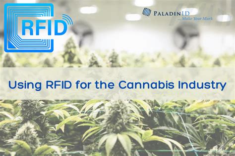 rfid systems for cannabis|RFID For Cannabis: Why The Cannabis Industry .